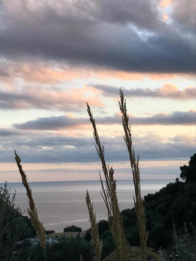 Asaya Hills Villas Parga Exterior photo